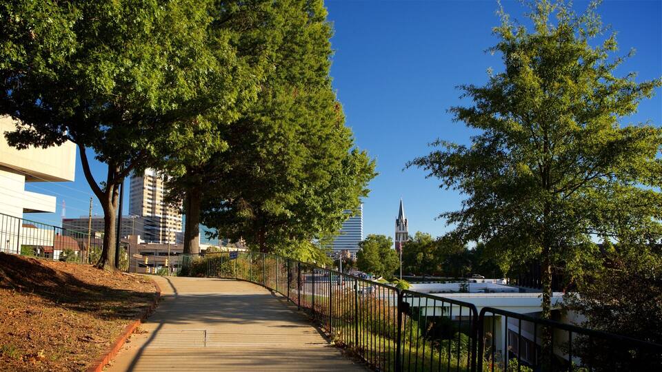 A tree-lined pathway with a metal fence, buildings, and a clear blue sky.