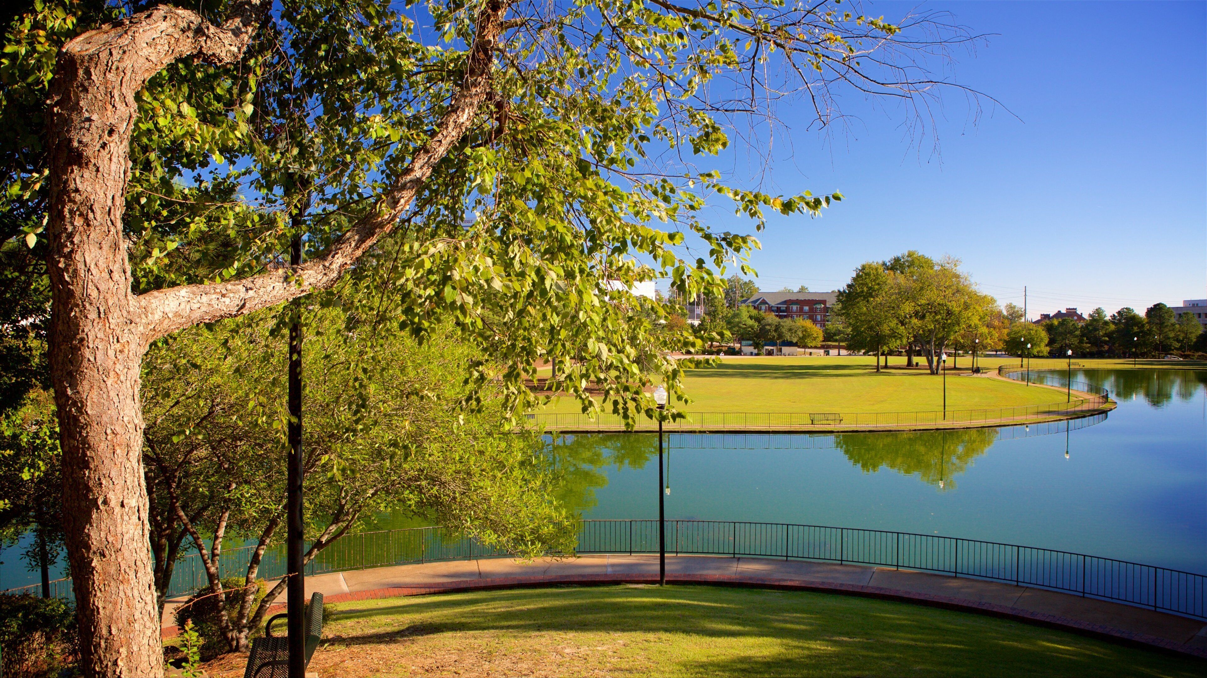 Finley Park que inclui um jardim e um lago ou charco