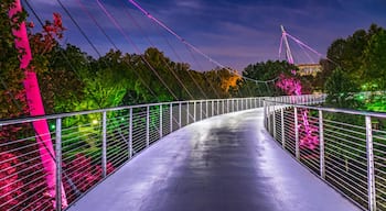 Falls Park Liberty Bridge in Downtown Greenville South Carolina SC