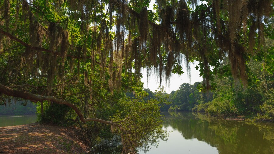 Sea Pines Forest Preserve