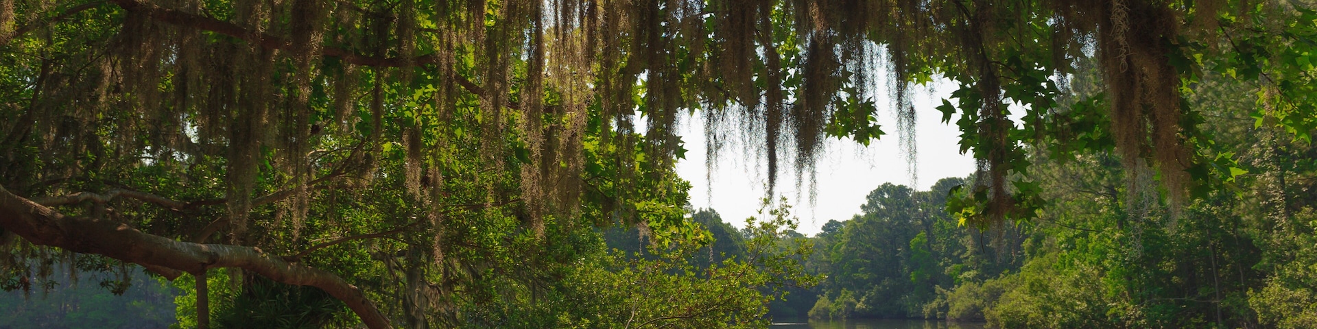Hilton Head Island, South Carolina, USA, Sea Pines Forest Preserve