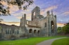 Kirkstall Abbey at sunset, Leeds, England, UK
