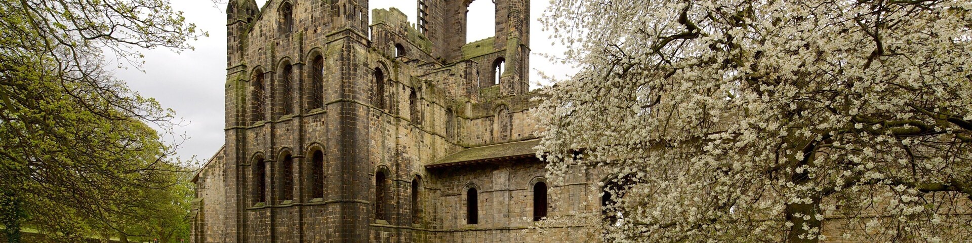 Kirkstall Abbey que incluye elementos del patrimonio, una ruina y una iglesia o catedral