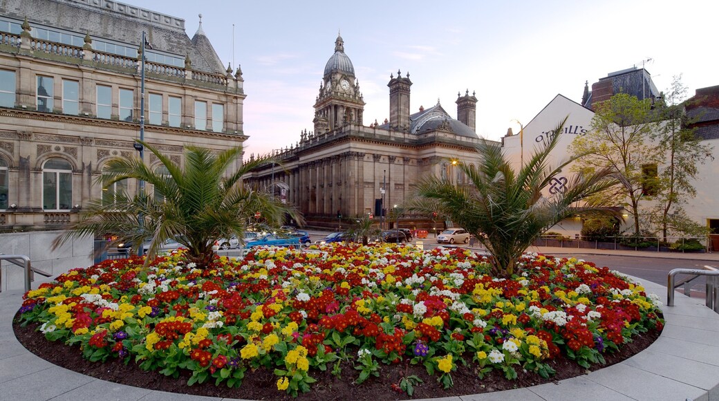 Leeds Town Hall which includes a city, flowers and an administrative buidling