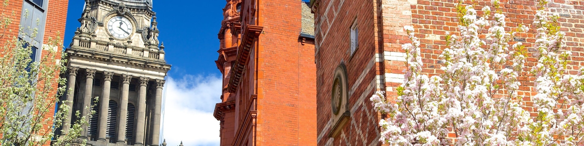 Leeds Town Hall featuring heritage architecture and an administrative buidling