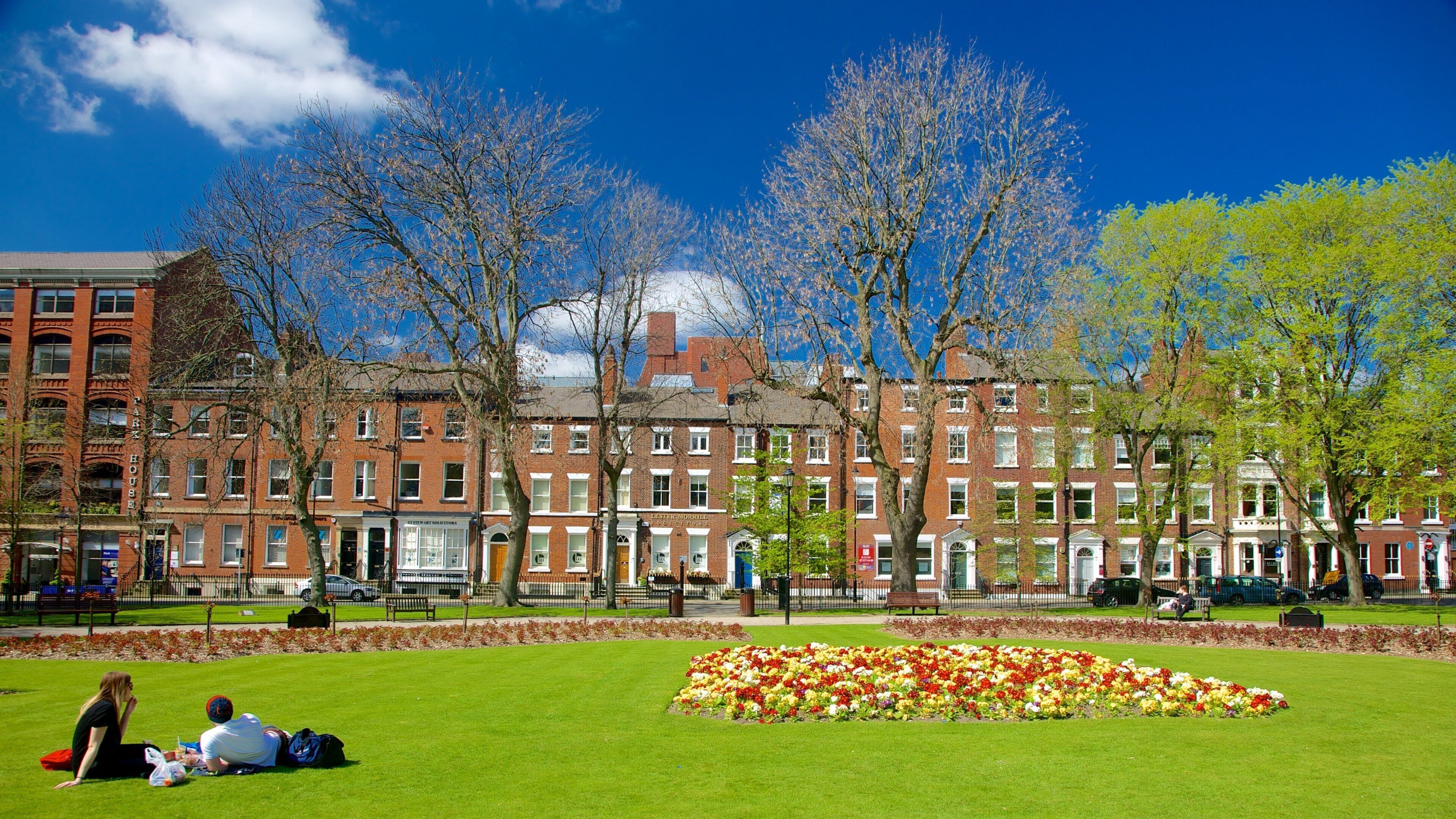 Leeds Park Square which includes a park, picnicing and flowers