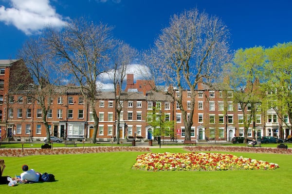 Leeds Park Square welches beinhaltet Blumen, Picknicken und Park