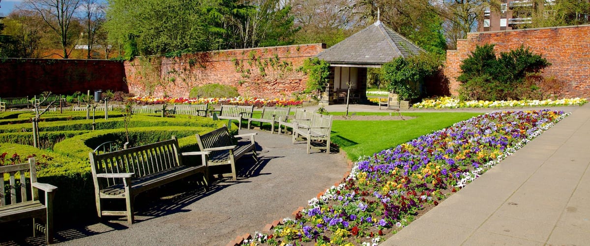 Roundhay Park featuring a park and flowers