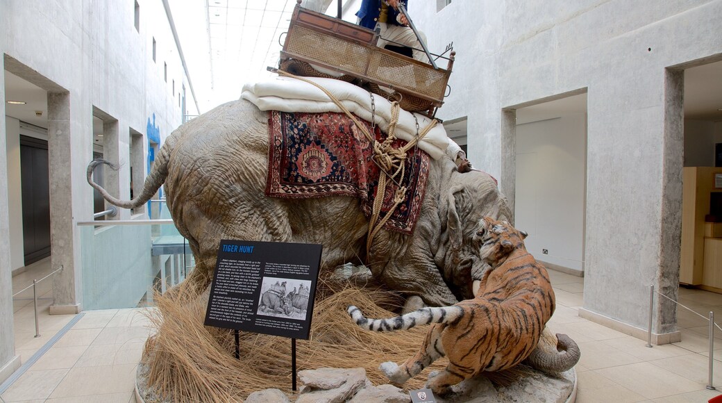 왕립 무기고 을 특징 실내 전경