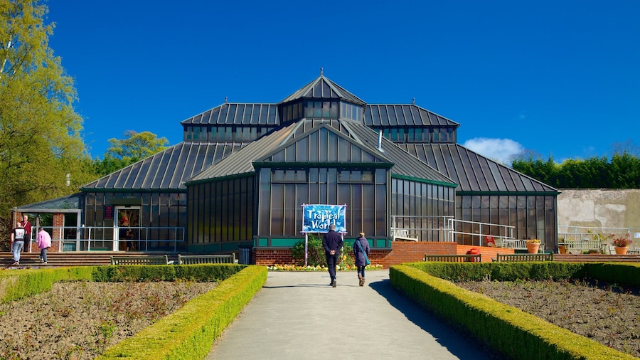 Tropical World featuring a park as well as a small group of people