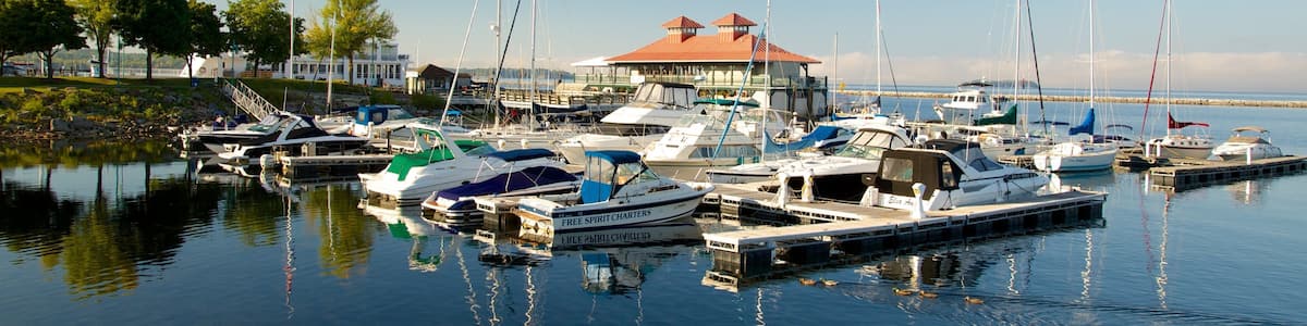 Waterfront Park showing a marina