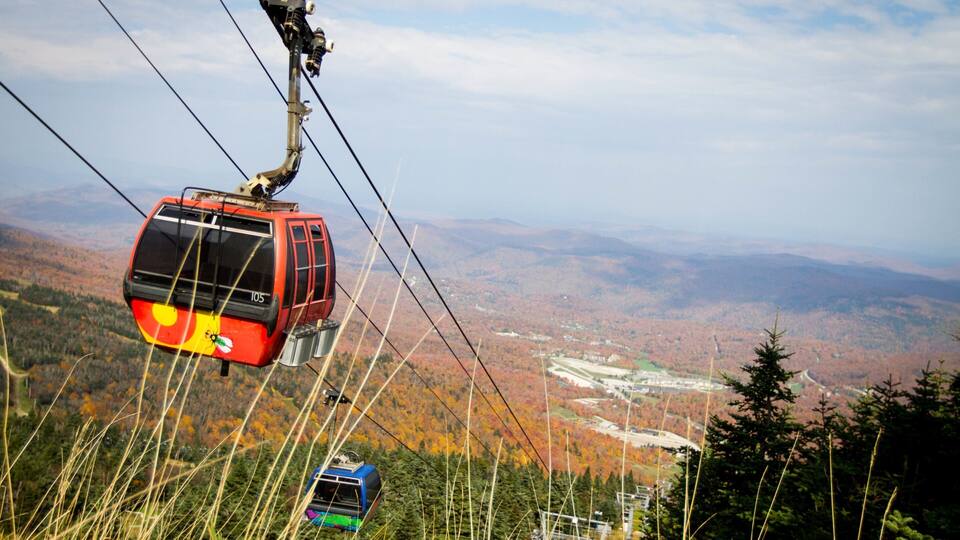 Killington Ski Resort showing autumn leaves, a gondola and forest scenes