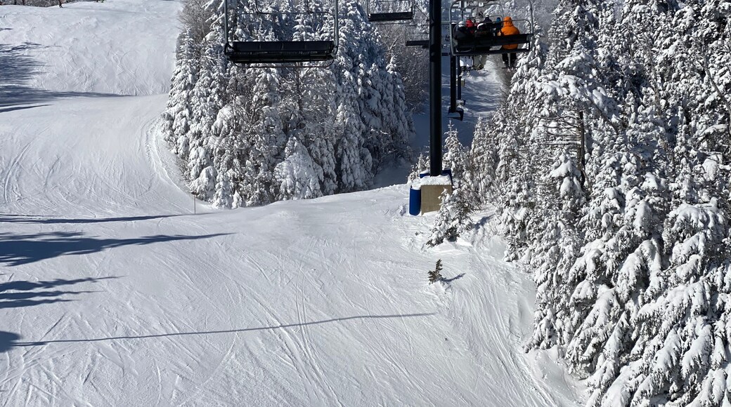 Okemo Mountain Resort -laskettelukeskus