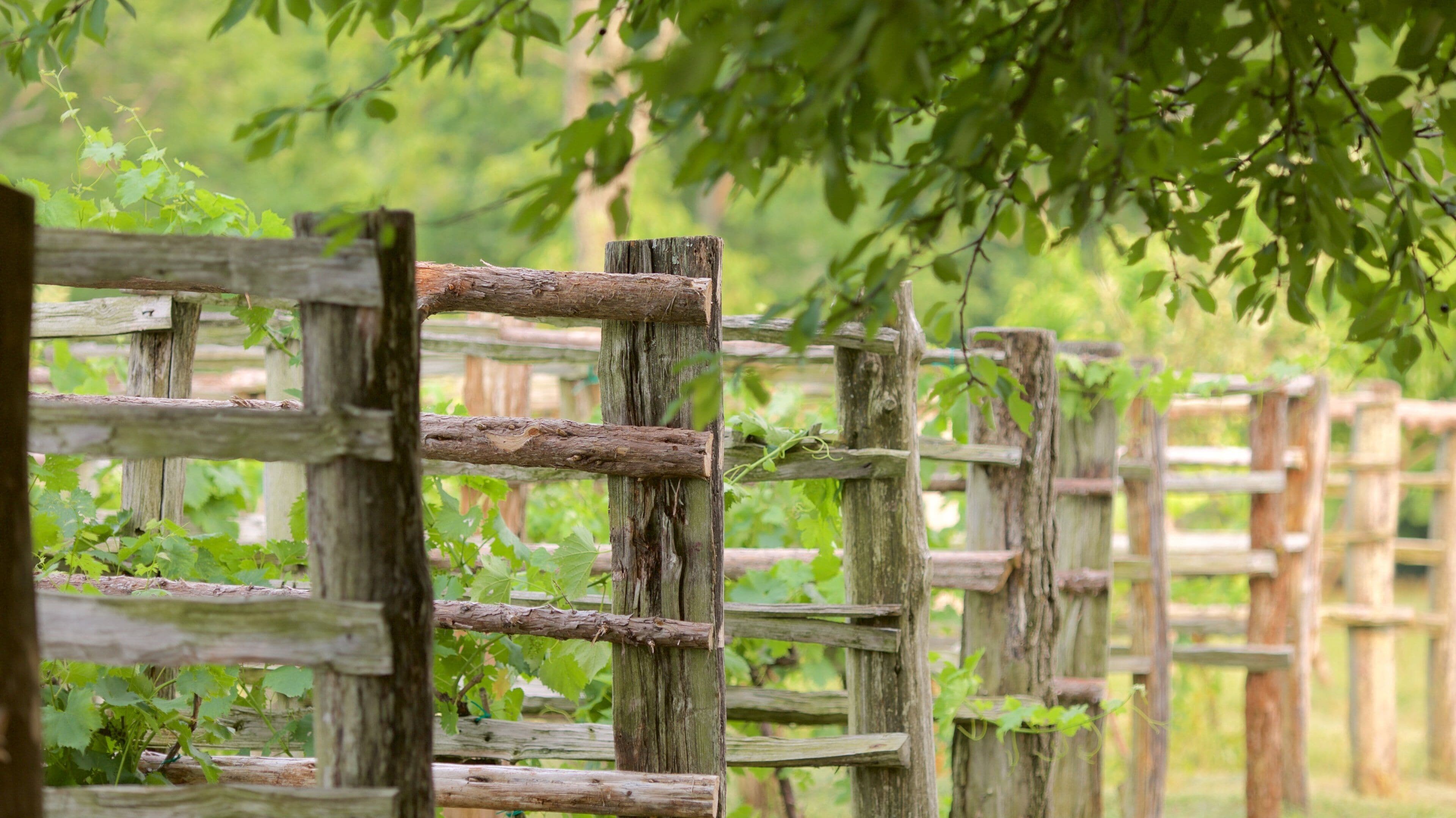 Monticello which includes a park