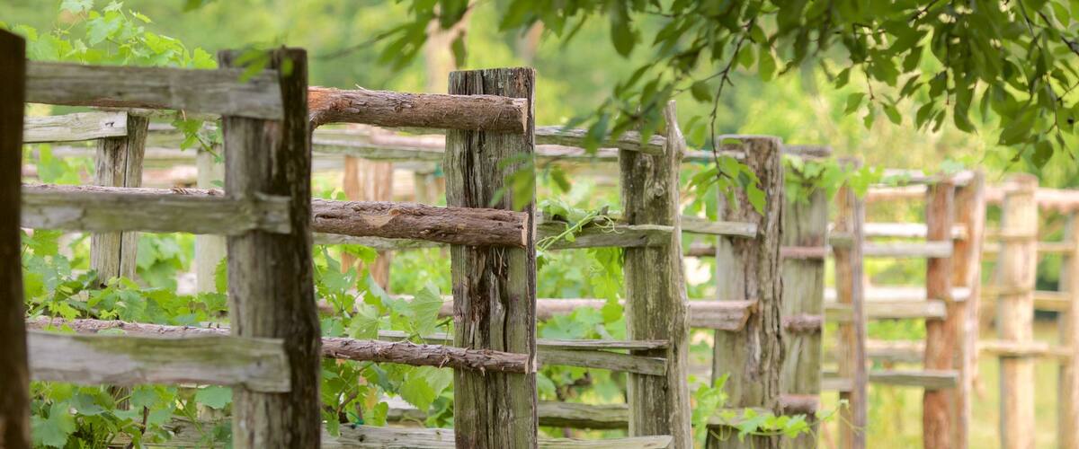 Monticello which includes a park