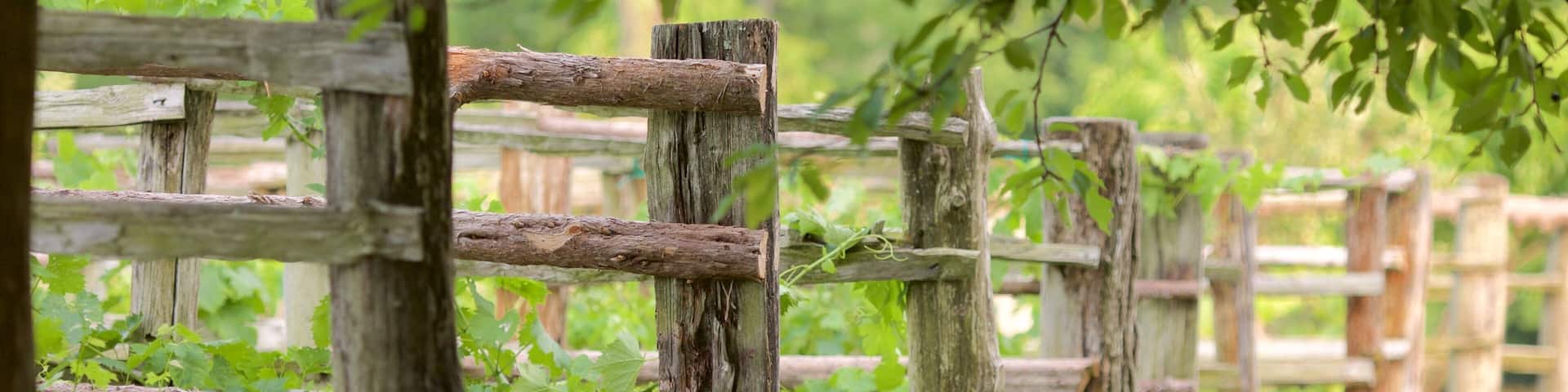 Monticello which includes a park