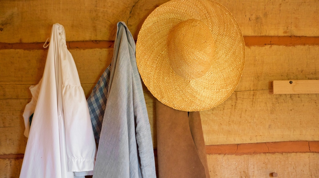 몬티첼로 이 포함 농장, 패션 과 실내 전경