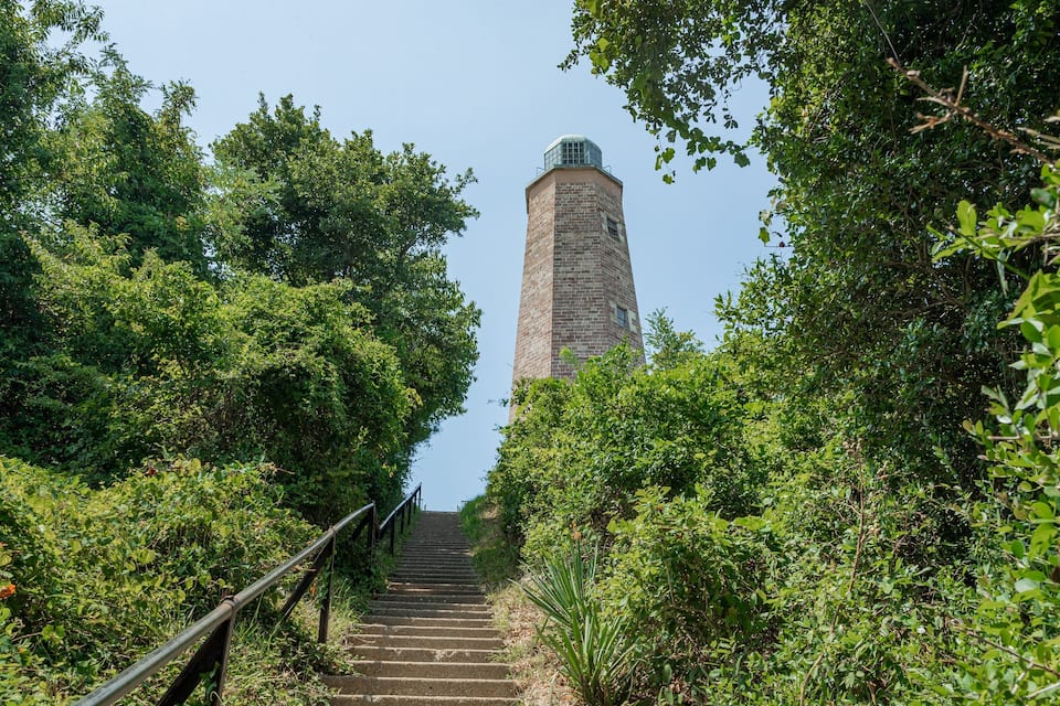 Una torre in pietra con una scala in metallo che vi conduce, circondata da una fitta vegetazione.