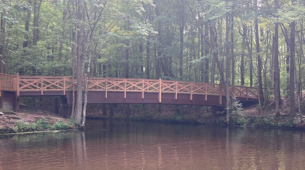 Chesapeake City Park