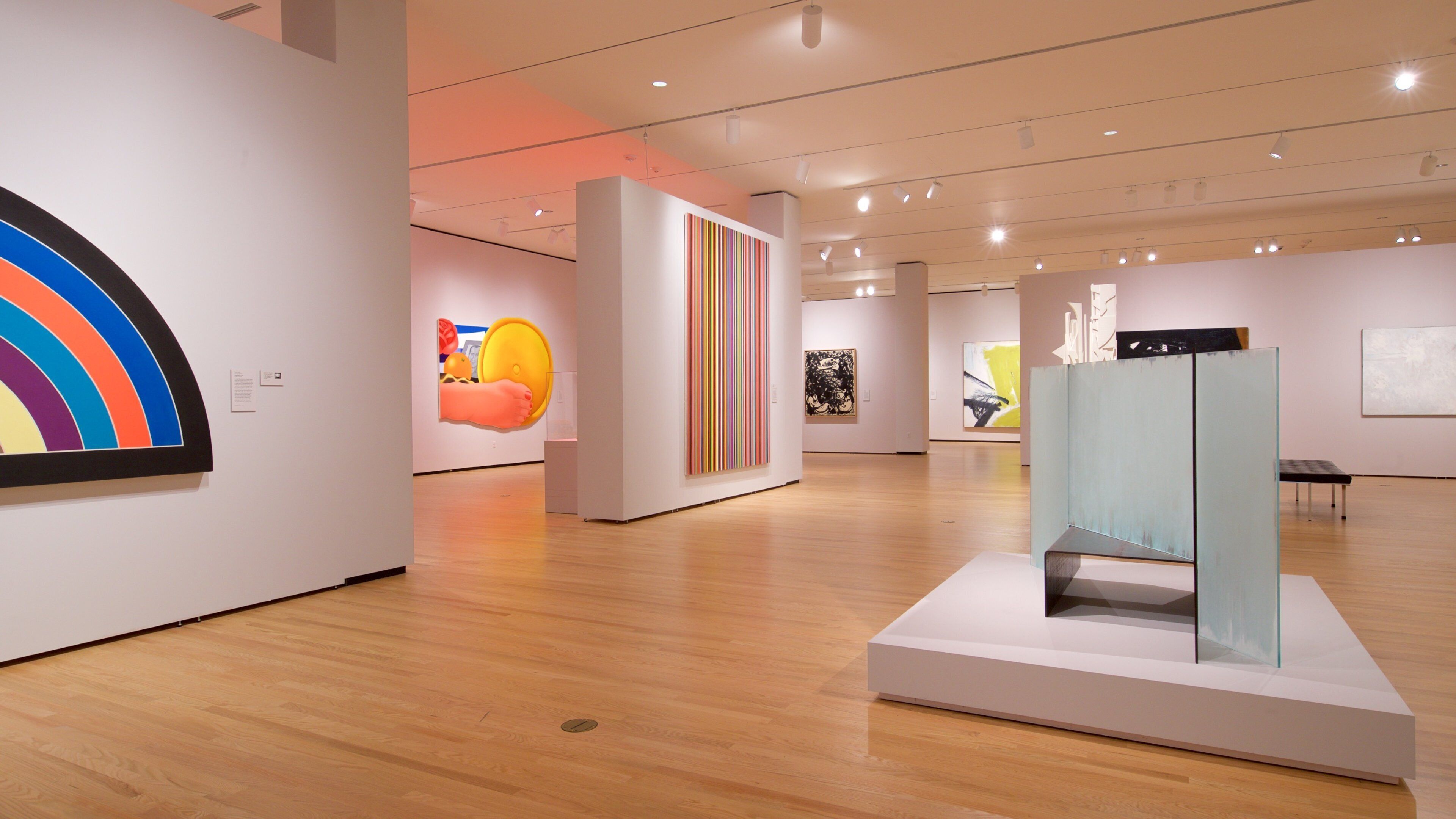 Chrysler Museum of Art ofreciendo vistas de interior y arte