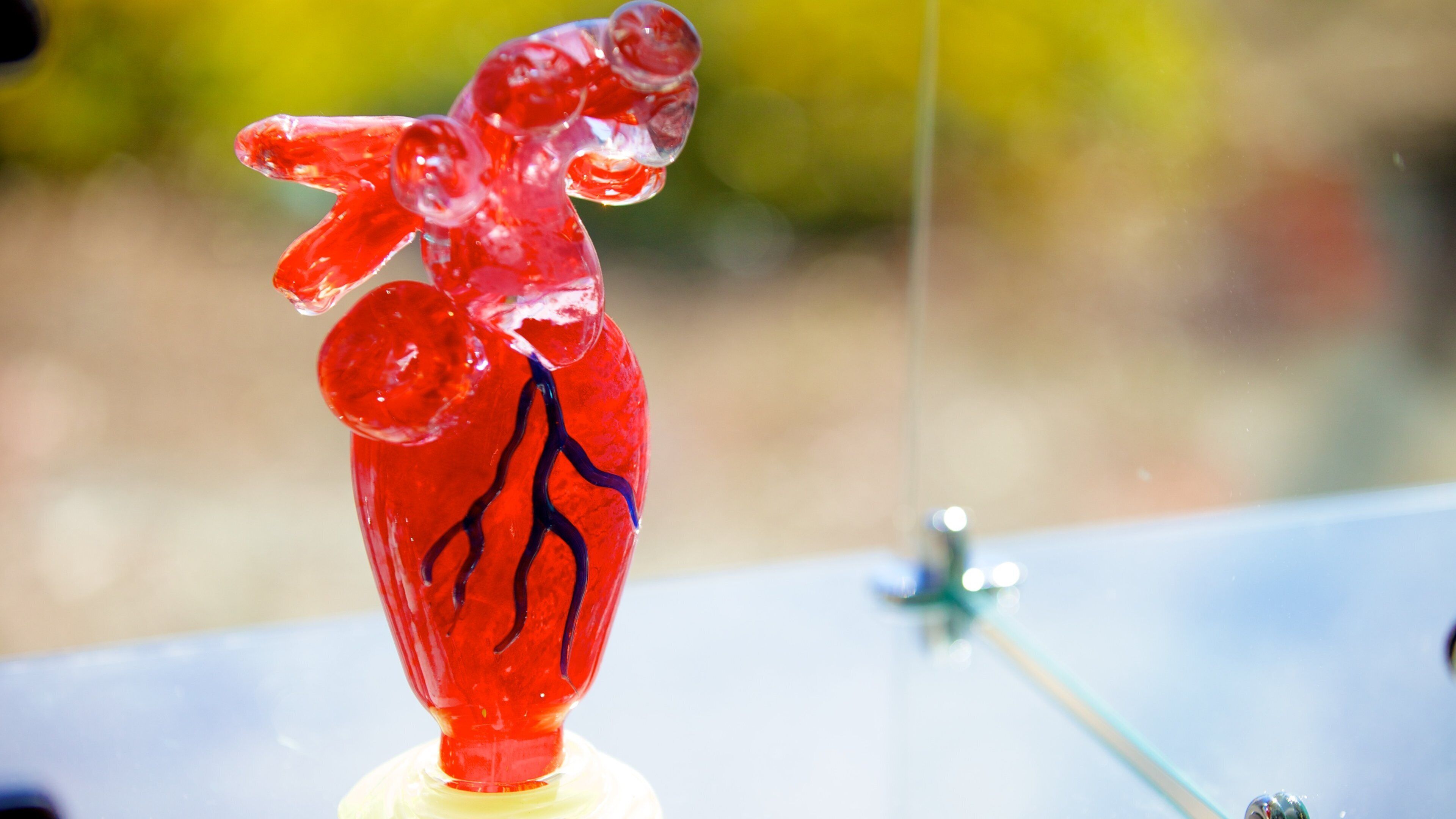 Chrysler Museum of Art caratteristiche di arte e vista interna