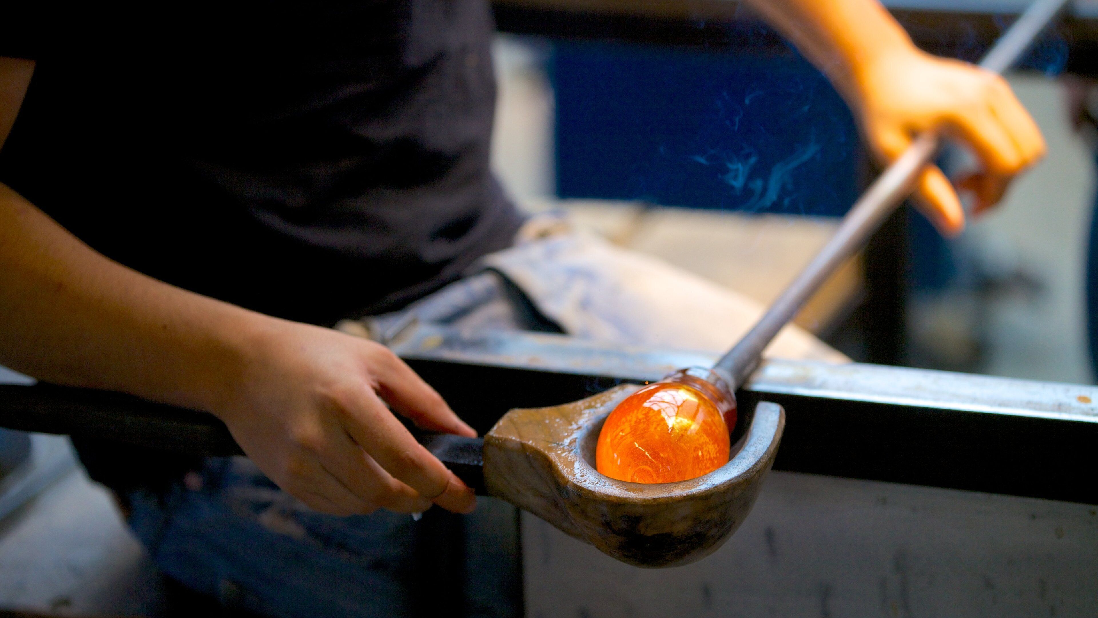 Chrysler Museum of Art featuring interior views and art as well as an individual male