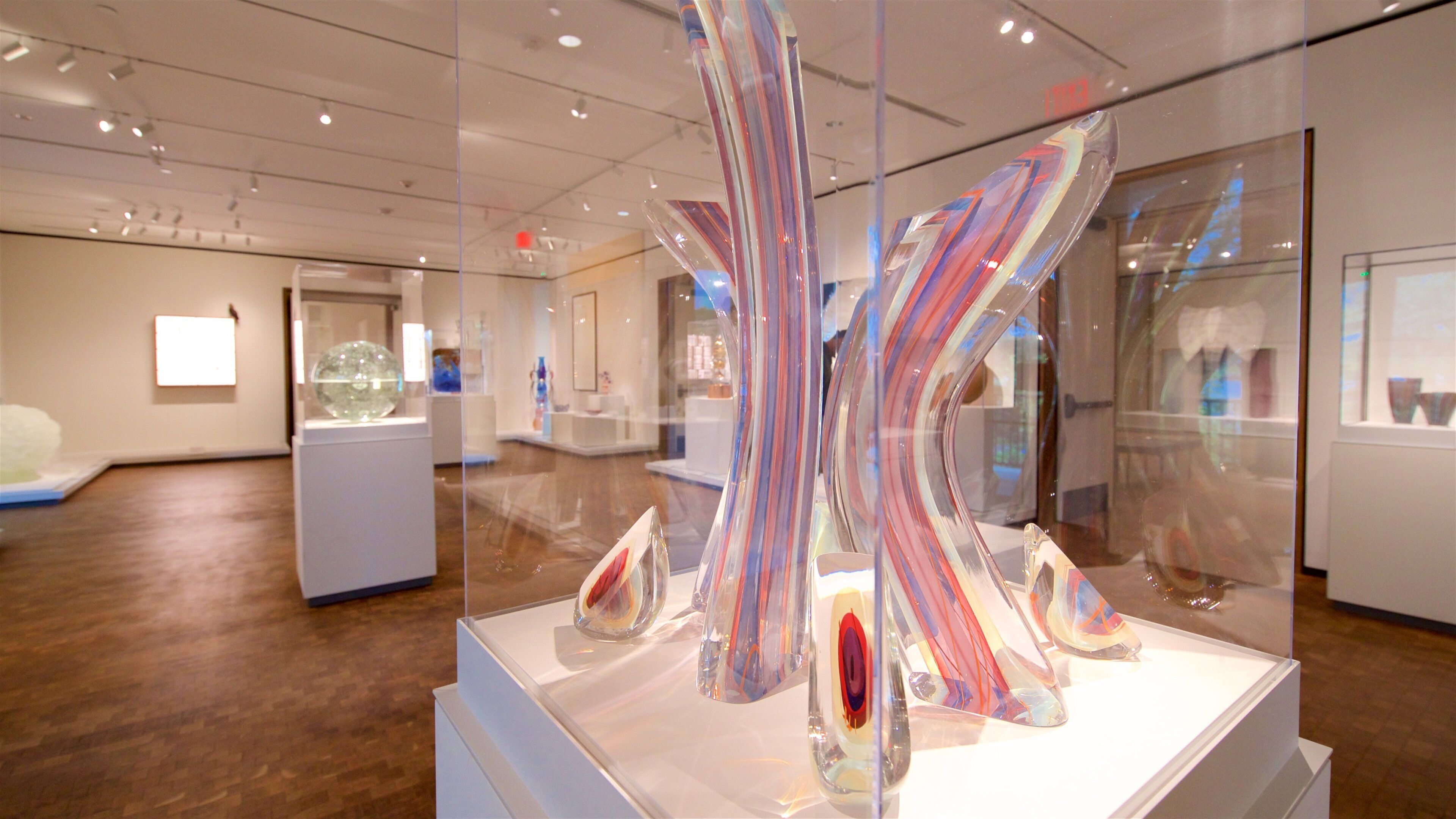 Chrysler Museum of Art caratteristiche di vista interna e arte