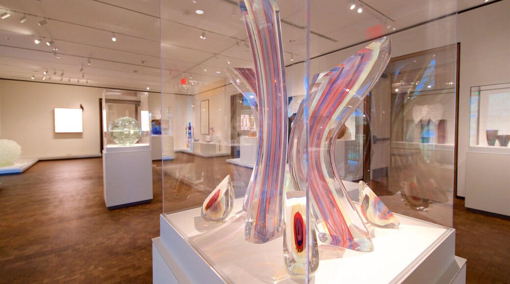 Chrysler Museum of Art caratteristiche di vista interna e arte