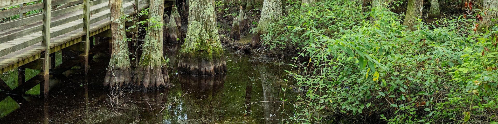 First Landing State Park