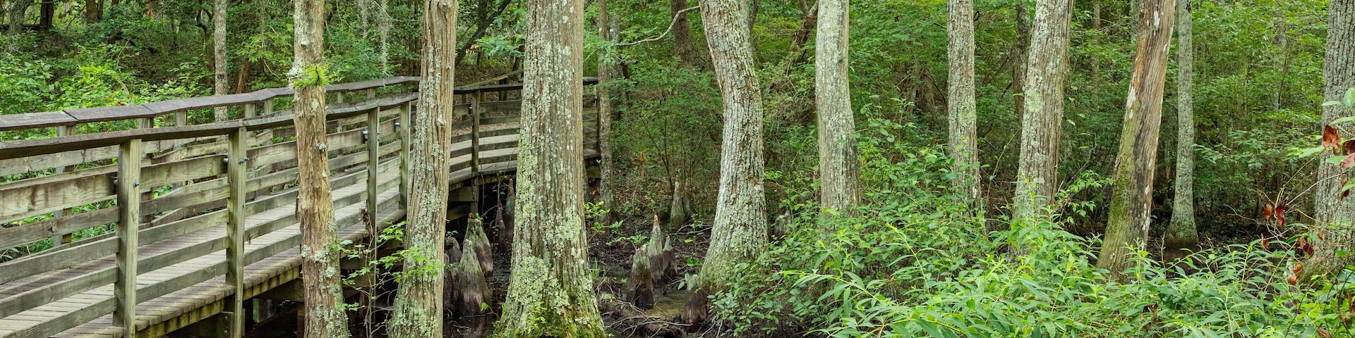 First Landing State Park