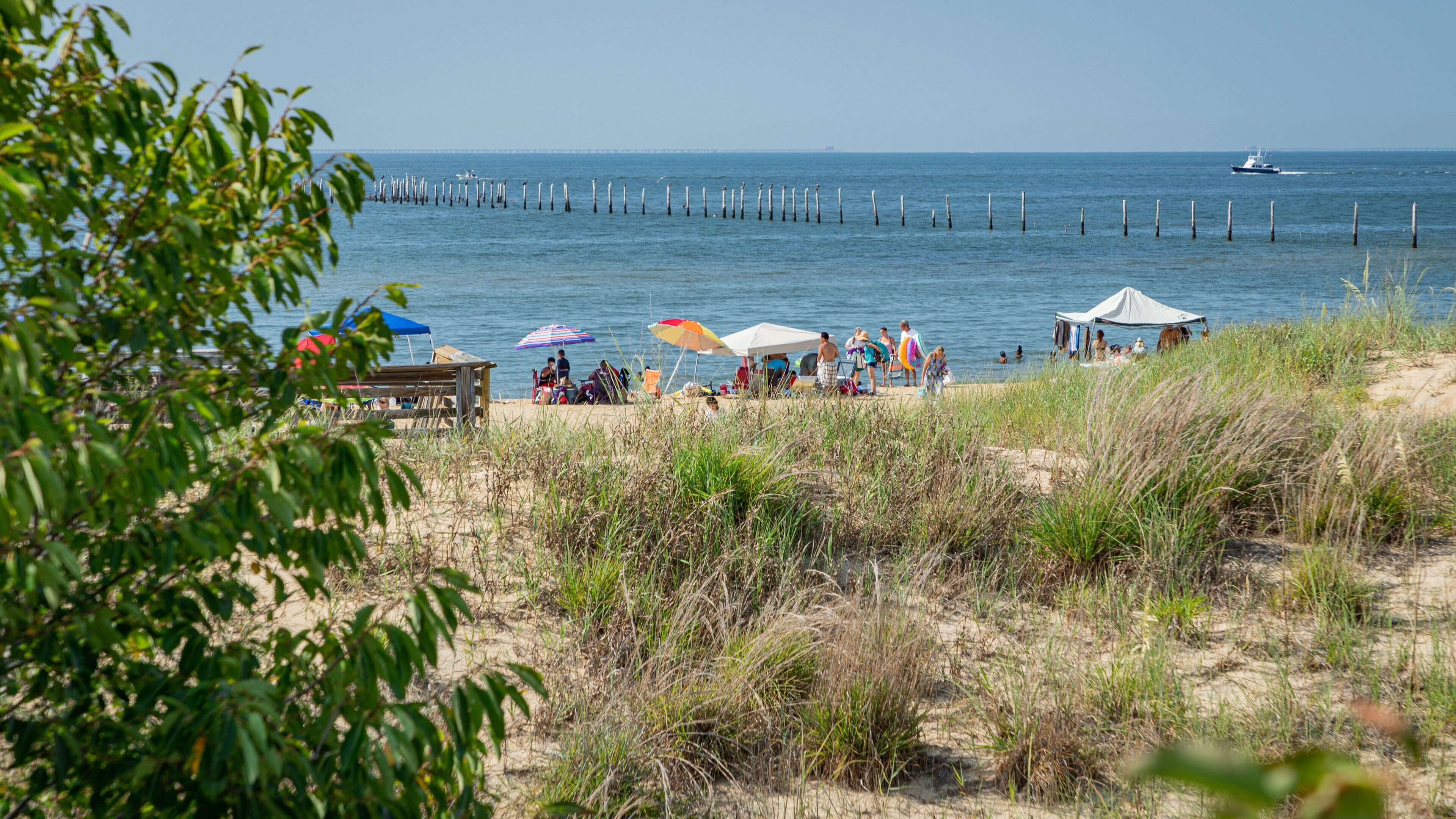 First Landing State Park