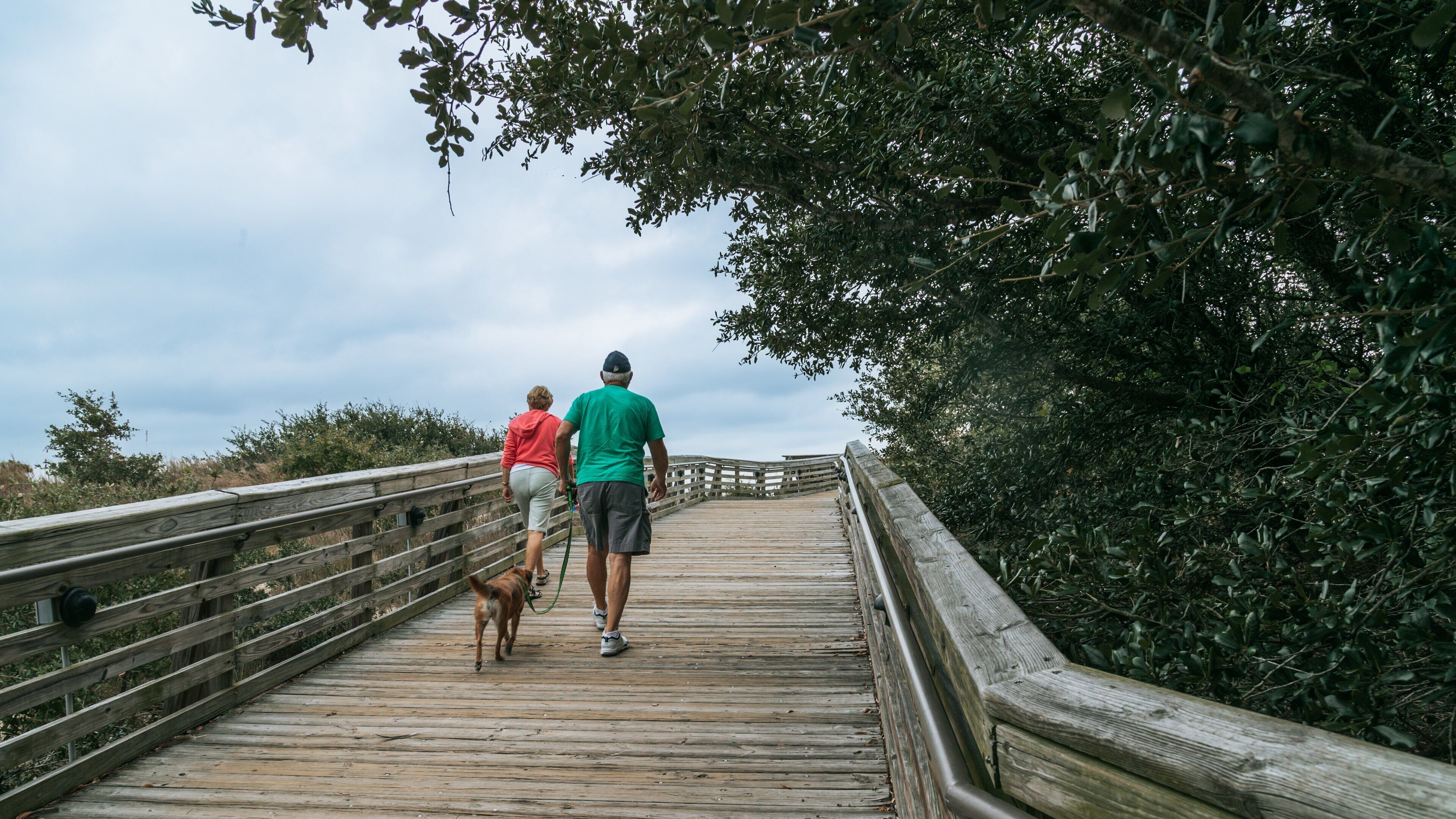First Landing State Park featuring cuddly or friendly animals as well as a couple