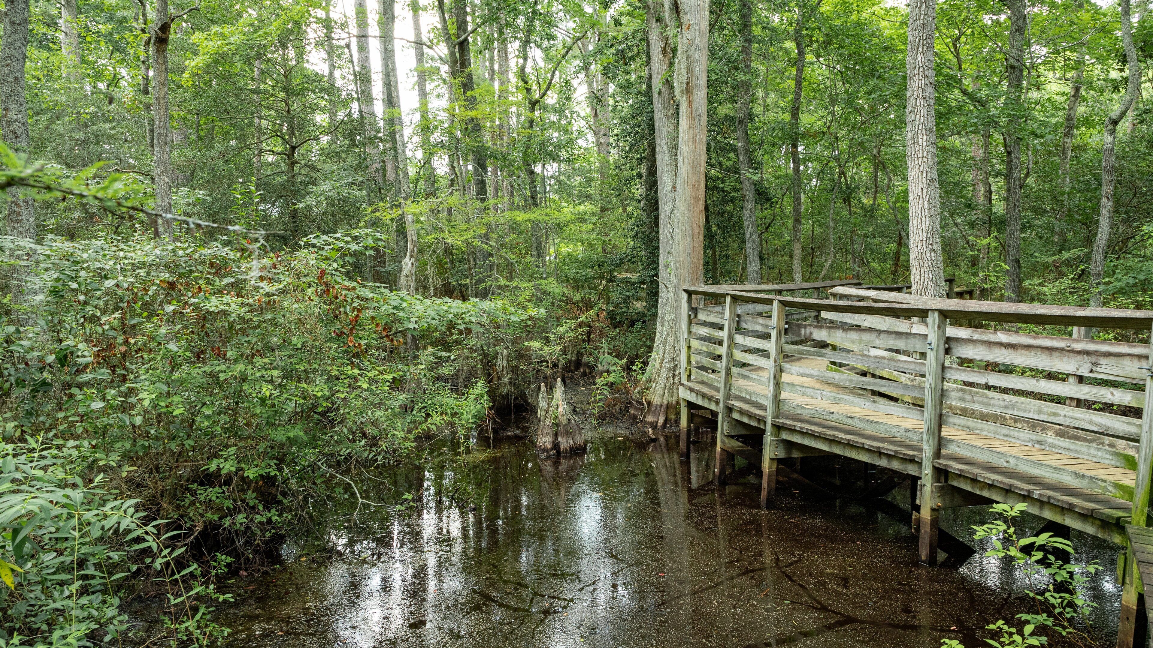 First Landing State Park