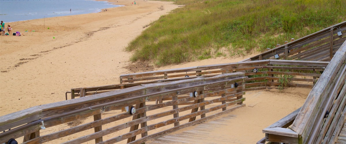 First Landing State Park showing a beach and general coastal views