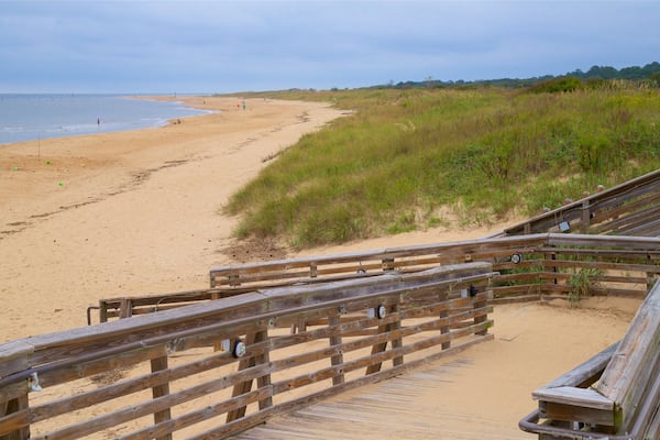 First Landing State Park featuring general coastal views and a beach