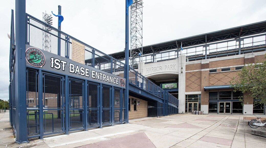 EyeEm Custom Shoots Q4 2018