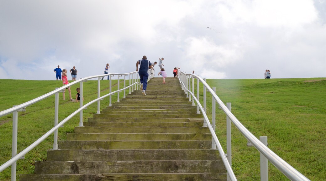 Mount Trashmore Park showing a garden as well as a small group of people