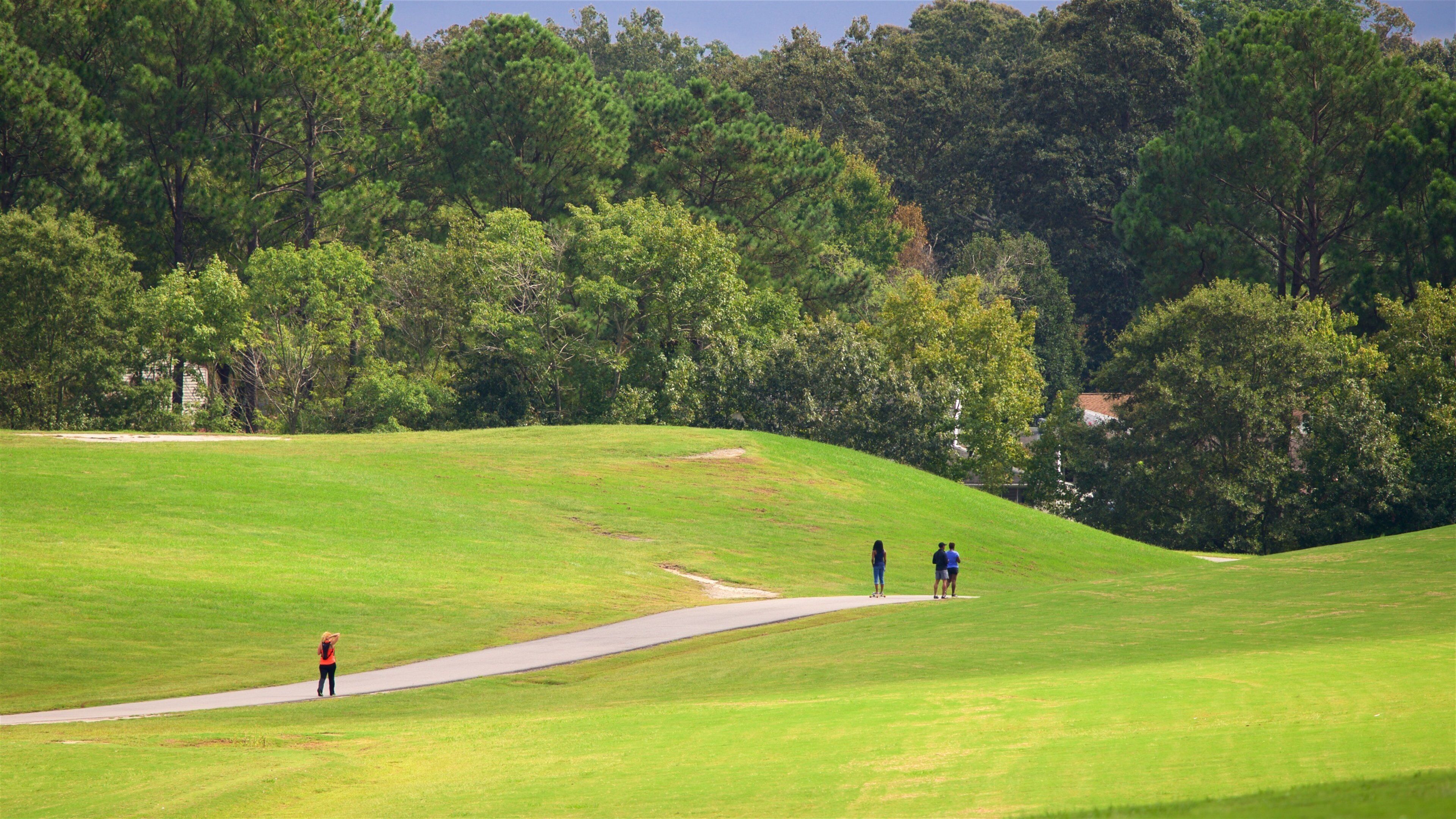 Mount Trashmore Park showing a park
