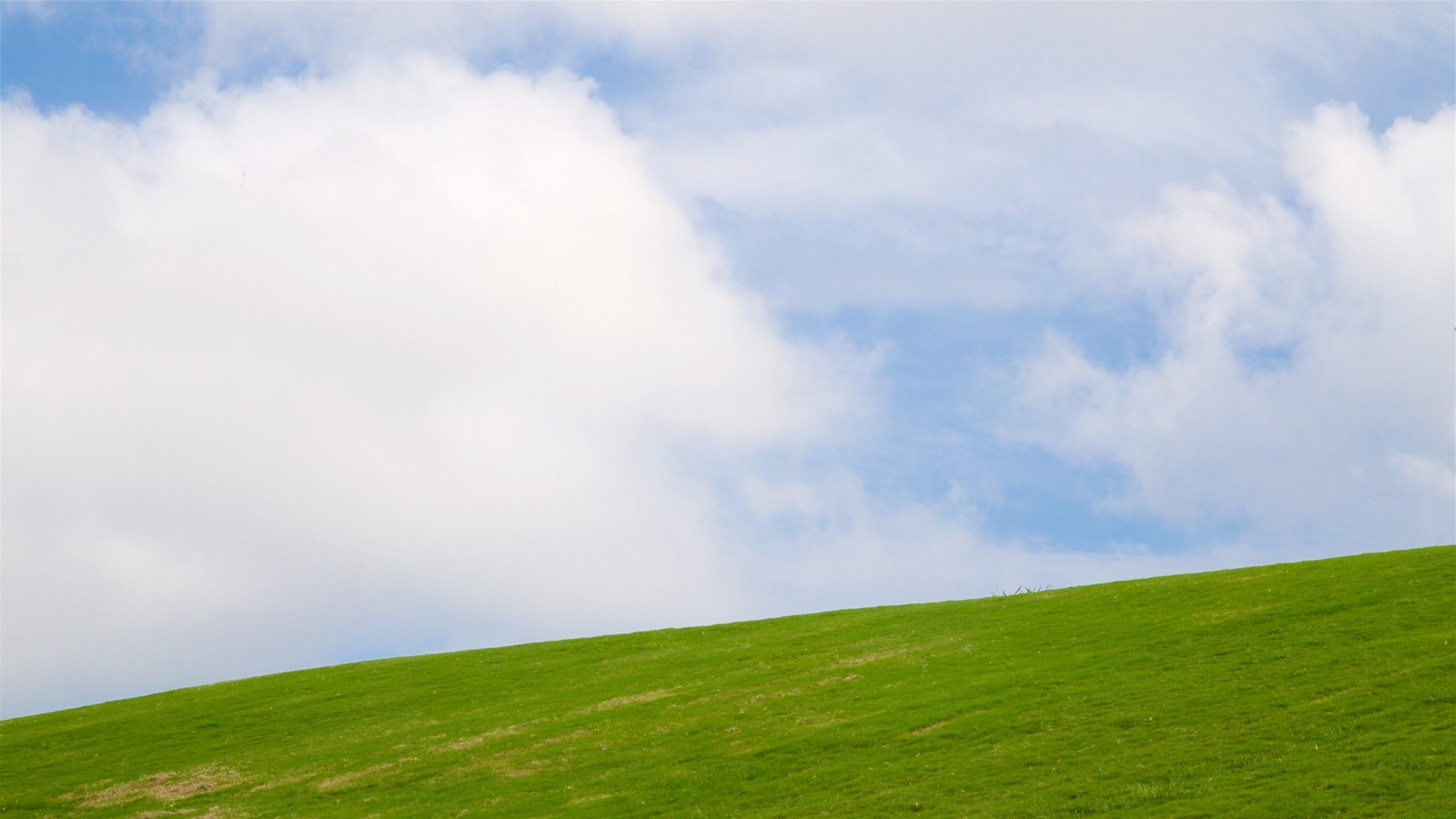 Mount Trashmore Park featuring a garden