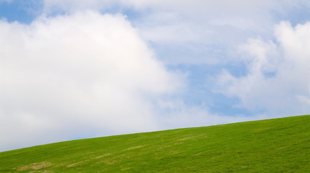 Mount Trashmore Park featuring a garden