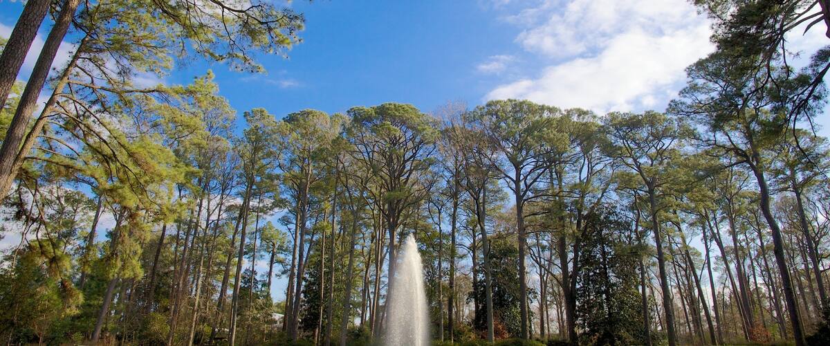 Norfolk Botanical Garden welches beinhaltet Garten, Landschaften und Teich