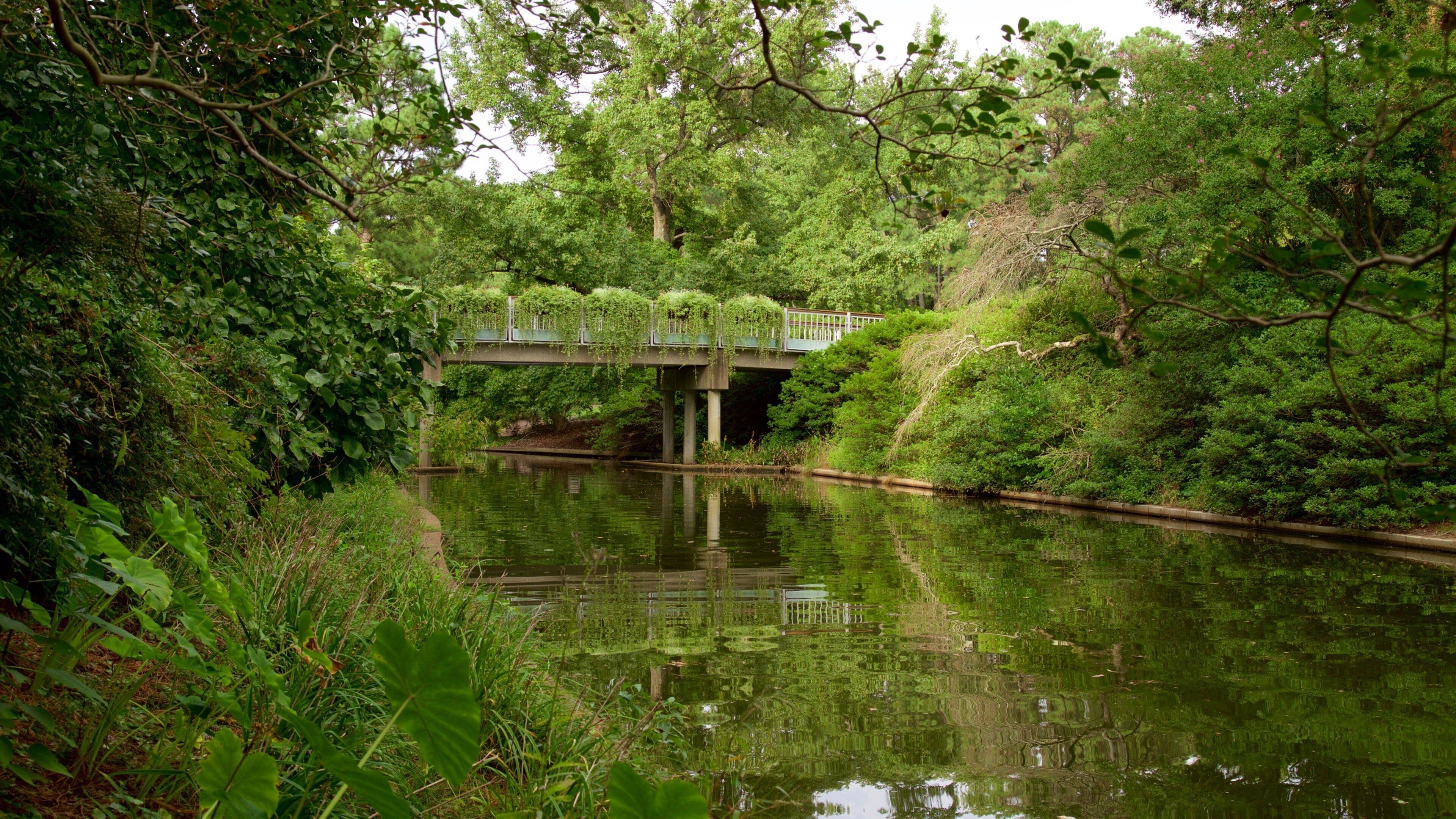 Norfolk Botanical Garden which includes a river or creek and a garden
