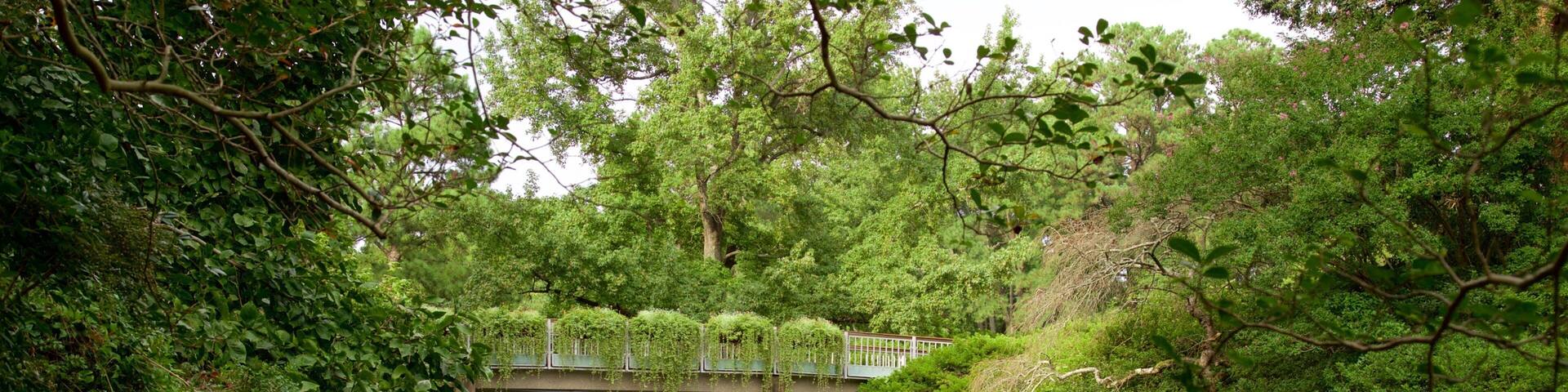Norfolk Botanical Garden showing a park and a river or creek