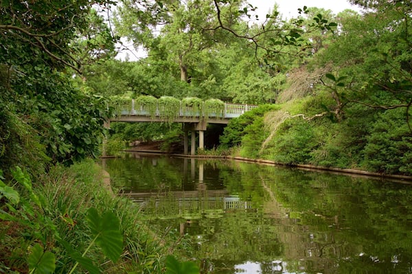 Norfolk Botanical Garden joka esittää puisto ja joki tai puro