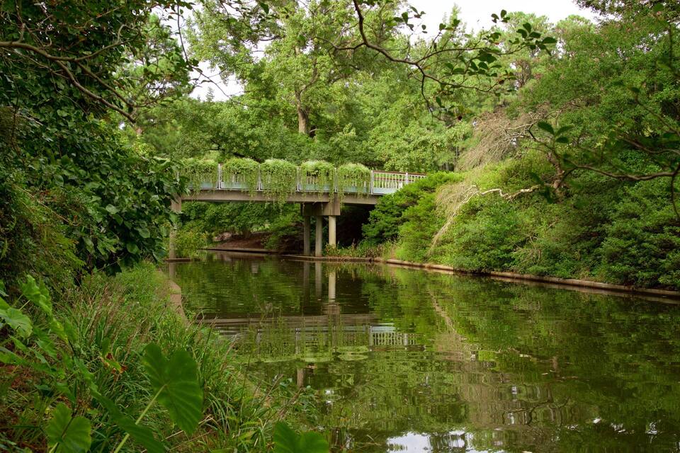 Un puente sobre un río tranquilo rodeado de abundante vegetación.