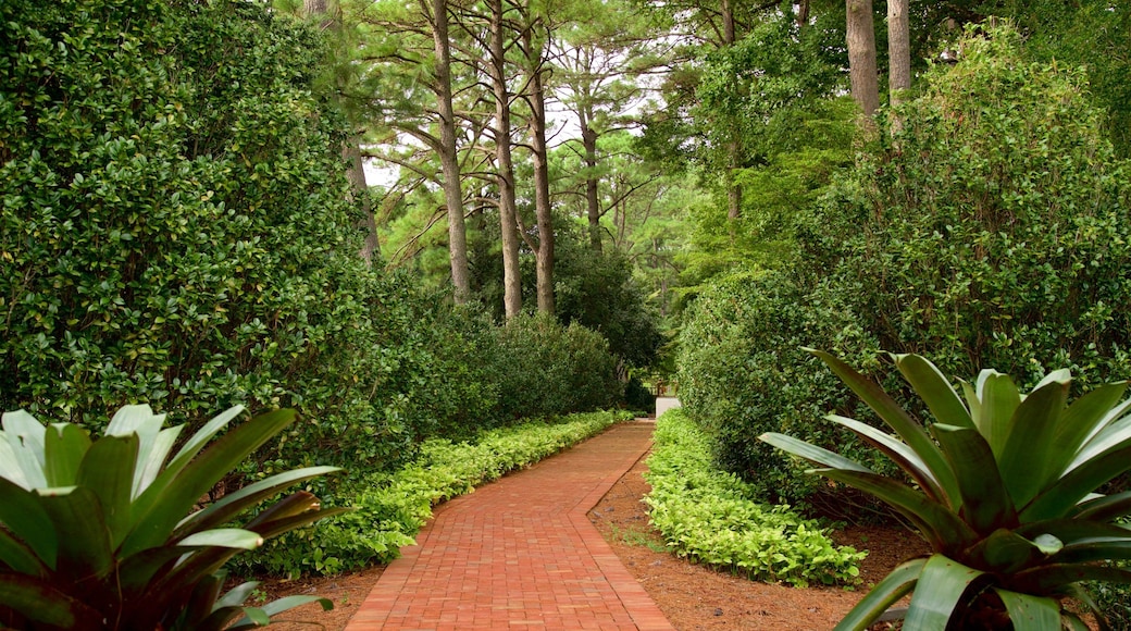 Norfolk Botanical Garden som inkluderer park