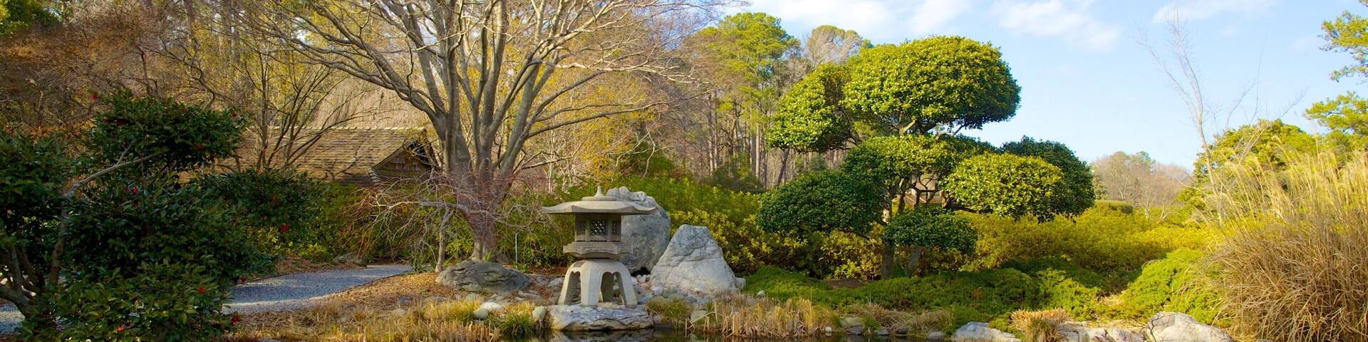 A serene pond with a traditional Japanese lantern, surrounded by lush greenery and large rocks.