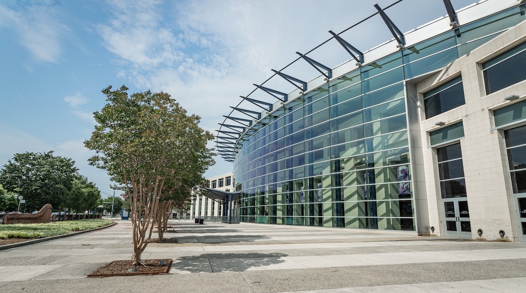 Ted Constant Convocation Center