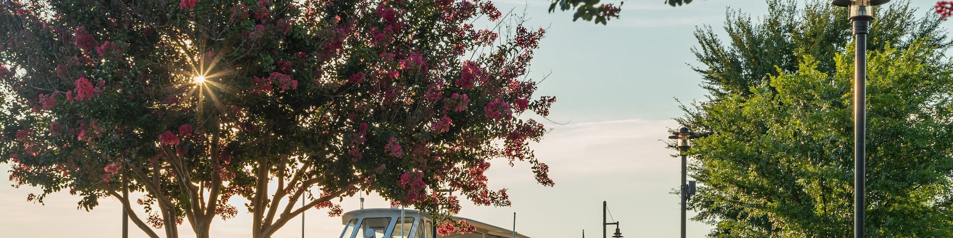 Town Point Park featuring a sunset, a garden and a bay or harbor