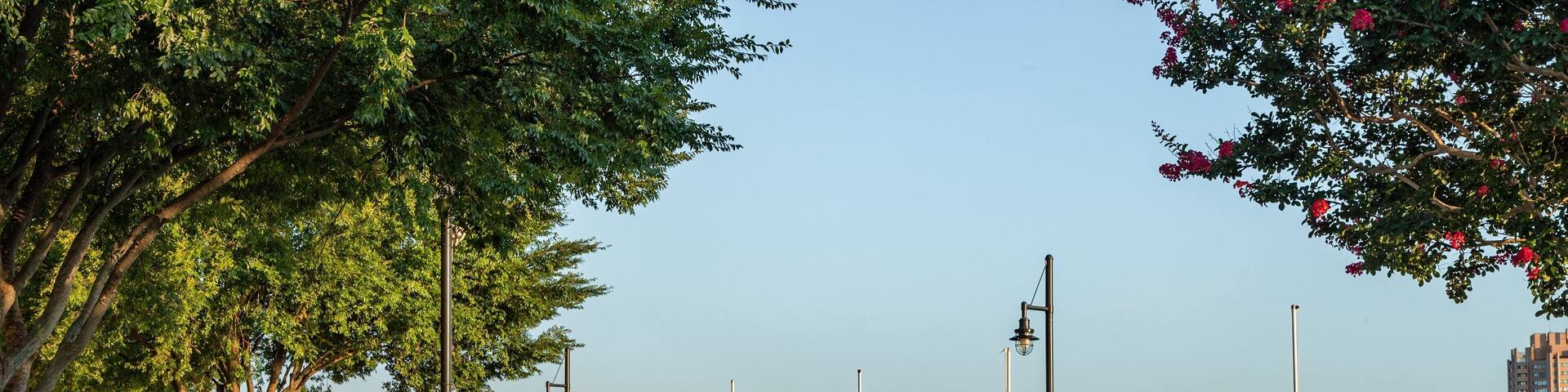 A riverside walkway with benches, trees, and a view of industrial buildings and cranes across the water.